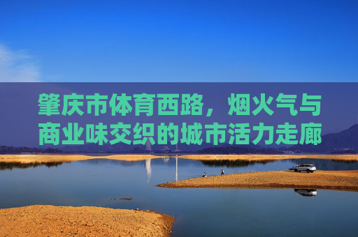 肇庆市体育西路,烟火气与商业味交织的城市活力走廊,肇庆体育西路,烟火与商业交织的城市活力走廊 肇庆市体育西路,烟火气与商业味交织的城市活力走廊,肇庆体育西路,烟火与商业交织的城市活力走廊