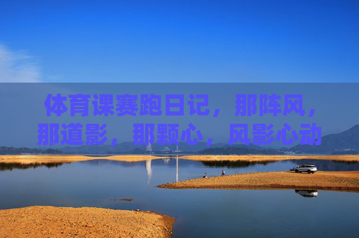 体育课赛跑日记，那阵风，那道影，那颗心，风影心动，体育课赛跑日记