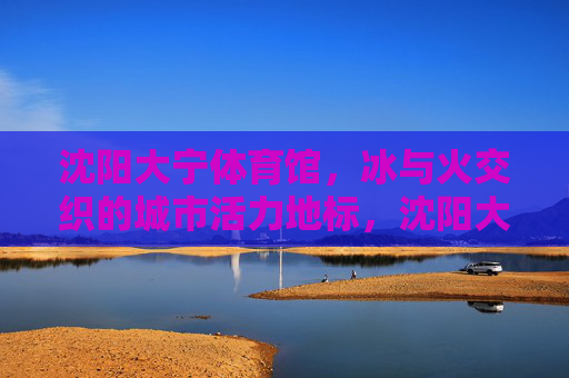 沈阳大宁体育馆，冰与火交织的城市活力地标，沈阳大宁体育馆，冰火交织的城市活力地标