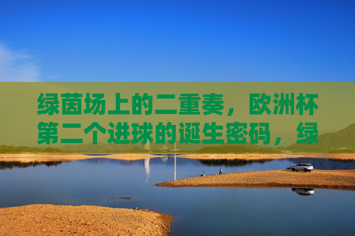 绿茵场上的二重奏,欧洲杯第二个进球的诞生密码,绿茵场二重奏,欧洲杯第二个进球的诞生密码 绿茵场上的二重奏,欧洲杯第二个进球的诞生密码,绿茵场二重奏,欧洲杯第二个进球的诞生密码