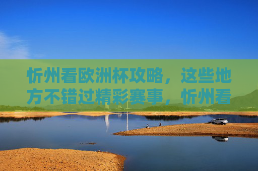 忻州看欧洲杯攻略，这些地方不错过精彩赛事，忻州看欧洲杯攻略，这些地方不错过精彩赛事