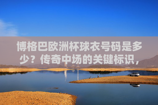 博格巴欧洲杯球衣号码是多少？传奇中场的关键标识，博格巴欧洲杯球衣号码，传奇中场的关键标识