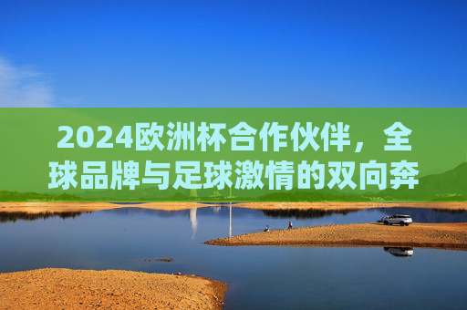 2024欧洲杯合作伙伴，全球品牌与足球激情的双向奔赴，2024欧洲杯，全球品牌与足球激情的双向奔赴