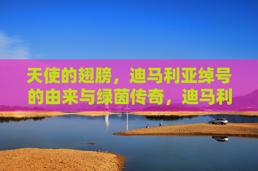 天使的翅膀,迪马利亚绰号的由来与绿茵传奇,迪马利亚,天使的翅膀绰号的由来与绿茵传奇 天使的翅膀,迪马利亚绰号的由来与绿茵传奇,迪马利亚,天使的翅膀绰号的由来与绿茵传奇