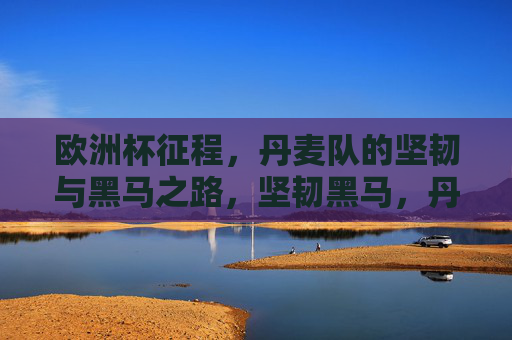欧洲杯征程,丹麦队的坚韧与黑马之路,坚韧黑马,丹麦欧洲杯征程 欧洲杯征程,丹麦队的坚韧与黑马之路,坚韧黑马,丹麦欧洲杯征程