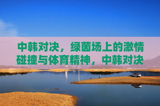 中韩对决，绿茵场上的激情碰撞与体育精神，中韩对决，绿茵场上的激情碰撞与体育精神
