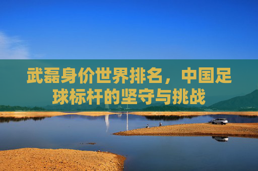 武磊身价世界排名,中国足球标杆的坚守与挑战 武磊身价世界排名,中国足球标杆的坚守与挑战