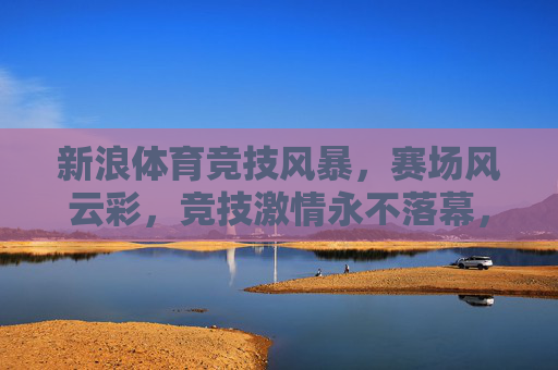 新浪体育竞技风暴，赛场风云彩，竞技激情永不落幕，新浪体育竞技风暴，赛场激情永不落幕