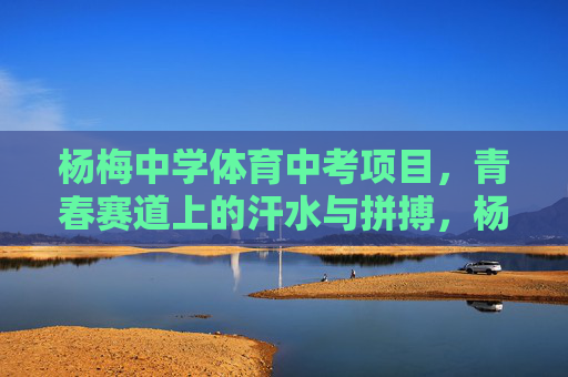 杨梅中学体育中考项目，青春赛道上的汗水与拼搏，杨梅中学体育中考，青春赛道上的汗水与拼搏