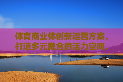 体育商业体创新运营方案，打造多元融合的活力空间，体育商业体创新运营，多元融合打造活力空间