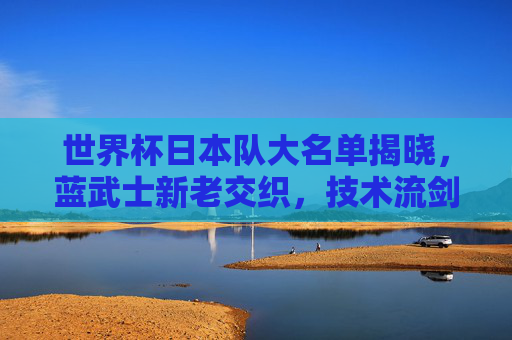 世界杯日本队大名单揭晓，蓝武士新老交织，技术流剑指更高目标，世界杯日本队大名单，新老交织技术流，蓝武士剑指更高目标