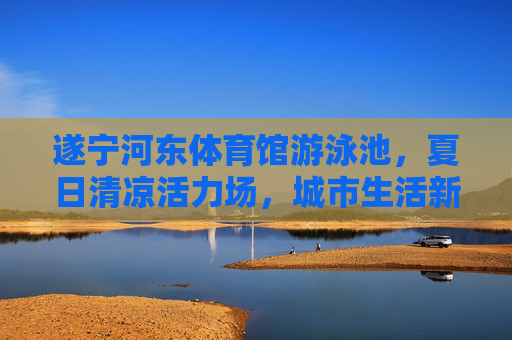 遂宁河东体育馆游泳池，夏日清凉活力场，城市生活新坐标，遂宁河东体育馆游泳池，夏日清凉活力，城市新坐标
