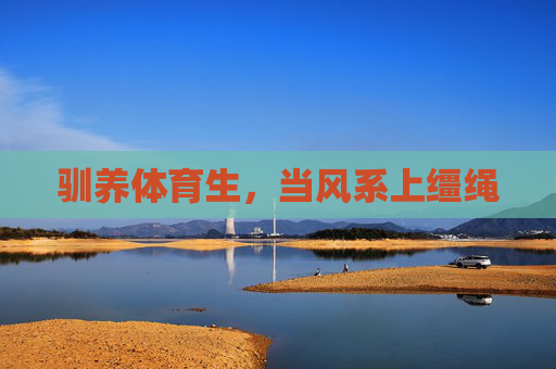 驯养体育生,当风系上缰绳 驯养体育生,当风系上缰绳