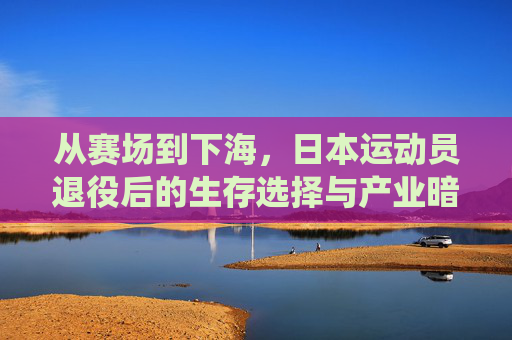 从赛场到下海,日本运动员退役后的生存选择与产业暗涌,从赛场到下海,日本运动员的生存选择与产业暗涌 从赛场到下海,日本运动员退役后的生存选择与产业暗涌,从赛场到下海,日本运动员的生存选择与产业暗涌