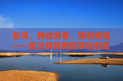 彭泽,舞动青春,铸就辉煌——武汉体育舞蹈学校的匠心领航者 彭泽,舞动青春,铸就辉煌——武汉体育舞蹈学校的匠心领航者