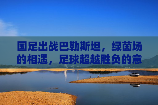 国足出战巴勒斯坦，绿茵场的相遇，足球超越胜负的意义