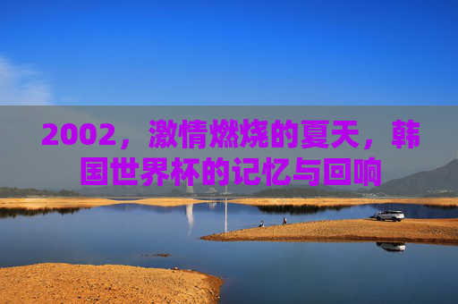 2002,激情燃烧的夏天,韩国世界杯的记忆与回响 2002,激情燃烧的夏天,韩国世界杯的记忆与回响