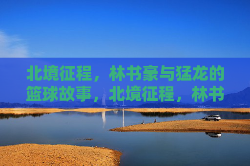 北境征程,林书豪与猛龙的篮球故事,北境征程,林书豪与猛龙的篮球故事 北境征程,林书豪与猛龙的篮球故事,北境征程,林书豪与猛龙的篮球故事