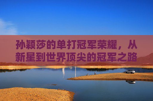 孙颖莎的单打冠军荣耀,从新星到世界顶尖的冠军之路,孙颖莎,从新星到顶尖的单打冠军之路 孙颖莎的单打冠军荣耀,从新星到世界顶尖的冠军之路,孙颖莎,从新星到顶尖的单打冠军之路