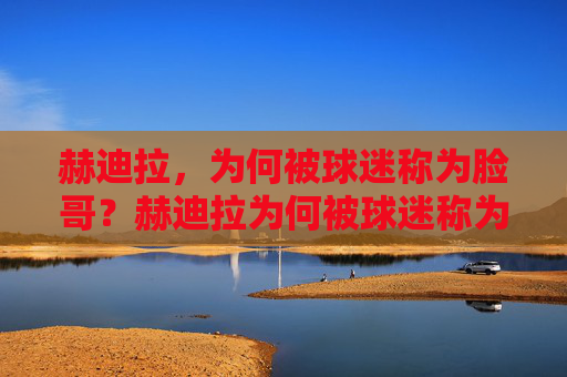 赫迪拉,为何被球迷称为脸哥?赫迪拉为何被球迷称为脸哥? 赫迪拉,为何被球迷称为脸哥?赫迪拉为何被球迷称为脸哥?