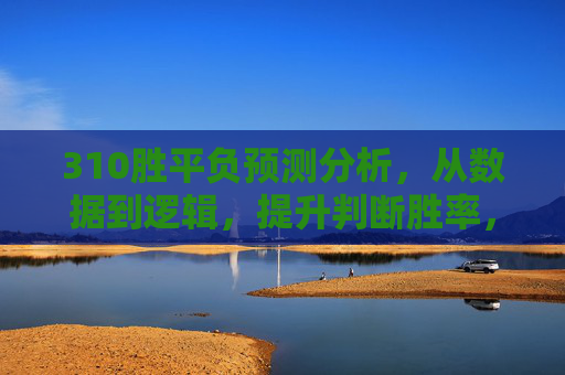 310胜平负预测分析，从数据到逻辑，提升判断胜率，310胜平负预测，数据逻辑构建与胜率提升分析