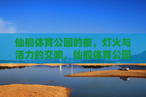 仙桐体育公园的夜,灯火与活力的交响,仙桐体育公园之夜,灯火与活力的交响 仙桐体育公园的夜,灯火与活力的交响,仙桐体育公园之夜,灯火与活力的交响
