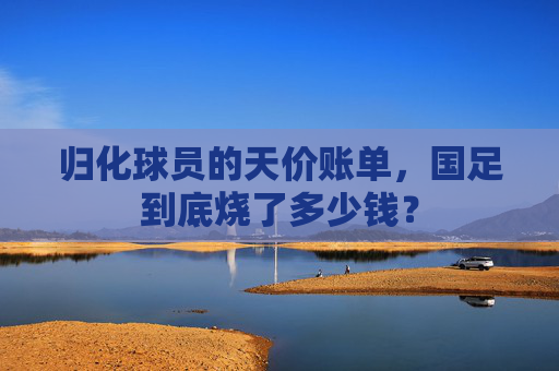 归化球员的天价账单,国足到底烧了多少钱? 归化球员的天价账单,国足到底烧了多少钱?