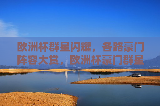 欧洲杯群星闪耀，各路豪门阵容大赏，欧洲杯豪门群星阵容大赏