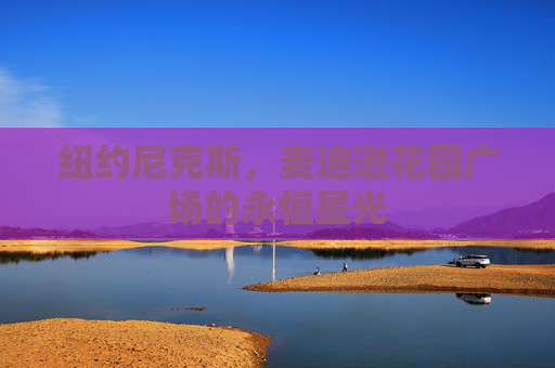 纽约尼克斯,麦迪逊花园广场的永恒星光 纽约尼克斯,麦迪逊花园广场的永恒星光