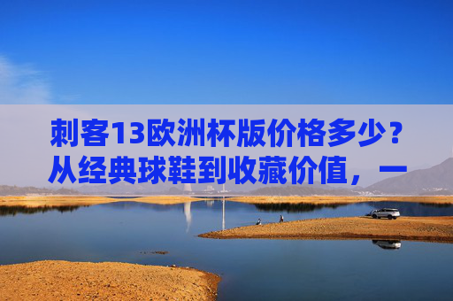 刺客13欧洲杯版价格多少?从经典球鞋到收藏价值,一文读懂刺客系列的热血与溢价 刺客13欧洲杯版价格多少?从经典球鞋到收藏价值,一文读懂刺客系列的热血与溢价