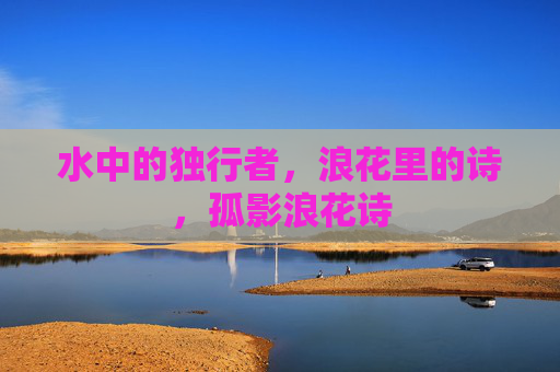 水中的独行者,浪花里的诗,孤影浪花诗 水中的独行者,浪花里的诗,孤影浪花诗
