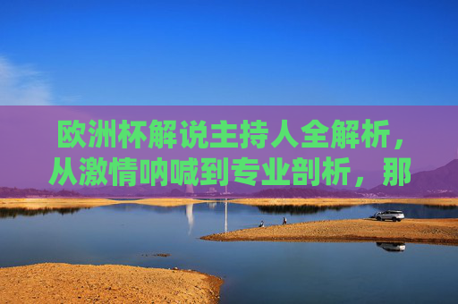 欧洲杯解说主持人全解析,从激情呐喊到专业剖析,那些陪伴我们熬夜的声音,欧洲杯解说,从激情呐喊到专业剖析,那些陪我们熬夜的声音 欧洲杯解说主持人全解析,从激情呐喊到专业剖析,那些陪伴我们熬夜的声音,欧洲杯解说,从激情呐喊到专业剖析,那些陪我们熬夜的声音