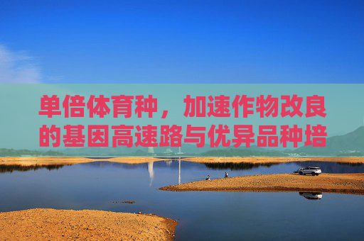 单倍体育种，加速作物改良的基因高速路与优异品种培育新篇章，单倍体育种，基因高速路加速作物改良新篇章