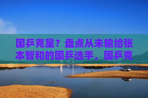 国乒克星?盘点从未输给张本智和的国乒选手,国乒克星?盘点从未输给张本智和的国乒选手 国乒克星?盘点从未输给张本智和的国乒选手,国乒克星?盘点从未输给张本智和的国乒选手