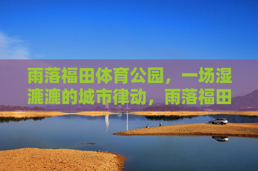 雨落福田体育公园,一场湿漉漉的城市律动,雨落福田体育公园,湿漉的城市律动 雨落福田体育公园,一场湿漉漉的城市律动,雨落福田体育公园,湿漉的城市律动
