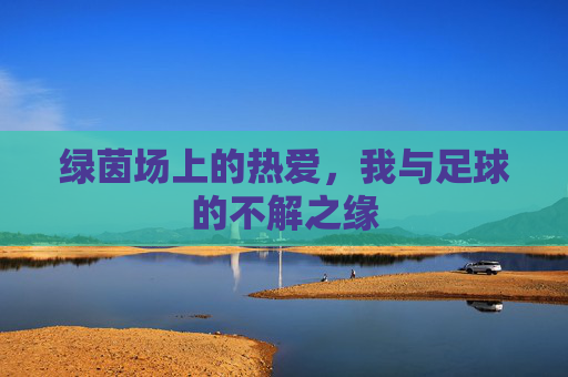 绿茵场上的热爱,我与足球的不解之缘 绿茵场上的热爱,我与足球的不解之缘
