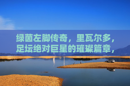 绿茵左脚传奇,里瓦尔多,足坛绝对巨星的璀璨篇章,里瓦尔多,绿茵左脚传奇的璀璨篇章 绿茵左脚传奇,里瓦尔多,足坛绝对巨星的璀璨篇章,里瓦尔多,绿茵左脚传奇的璀璨篇章