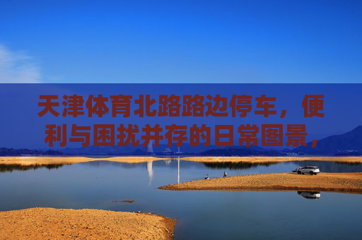 天津体育北路路边停车，便利与困扰并存的日常图景，天津体育北路路边停车，便利与困扰并存的日常