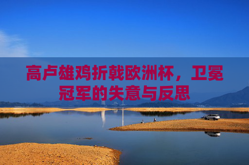 高卢雄鸡折戟欧洲杯,卫冕冠军的失意与反思 高卢雄鸡折戟欧洲杯,卫冕冠军的失意与反思