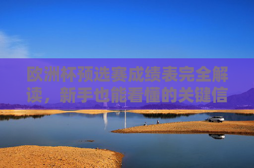 欧洲杯预选赛成绩表完全解读，新手也能看懂的关键信息，欧洲杯预选赛成绩表深度解读，新手必看关键信息