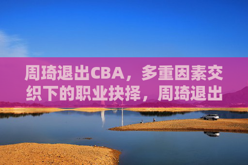 周琦退出CBA，多重因素交织下的职业抉择，周琦退出CBA，多重因素交织的职业抉择