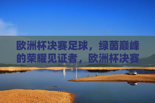 欧洲杯决赛足球，绿茵巅峰的荣耀见证者，欧洲杯决赛，绿茵巅峰的荣耀见证