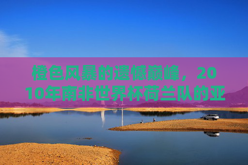 橙色风暴的遗憾巅峰,2010年南非世界杯荷兰队的亚军征程,橙色风暴的遗憾巅峰,2010南非世界杯荷兰队亚军征程 橙色风暴的遗憾巅峰,2010年南非世界杯荷兰队的亚军征程,橙色风暴的遗憾巅峰,2010南非世界杯荷兰队亚军征程