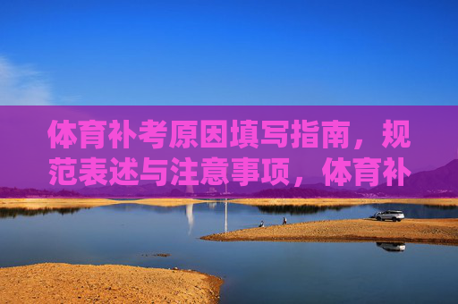 体育补考原因填写指南，规范表述与注意事项，体育补考原因填写指南，规范表述与注意事项