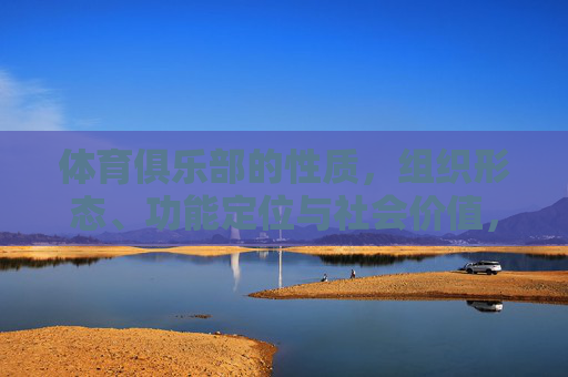 体育俱乐部的性质,组织形态、功能定位与社会价值,体育俱乐部的性质、组织形态、功能定位与社会价值 体育俱乐部的性质,组织形态、功能定位与社会价值,体育俱乐部的性质、组织形态、功能定位与社会价值