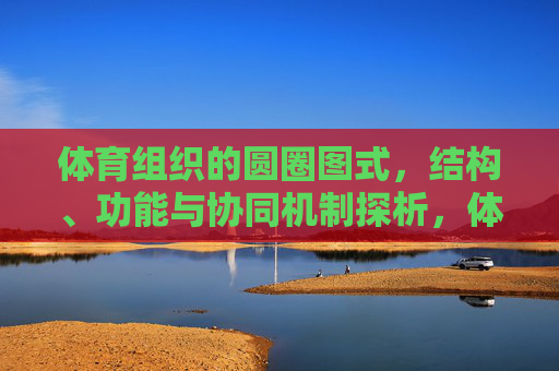 体育组织的圆圈图式,结构、功能与协同机制探析,体育组织圆圈图式的结构、功能与协同机制探析 体育组织的圆圈图式,结构、功能与协同机制探析,体育组织圆圈图式的结构、功能与协同机制探析