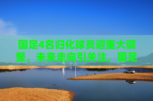国足4名归化球员迎重大调整,未来走向引关注,国足4名归化球员重大调整引关注 国足4名归化球员迎重大调整,未来走向引关注,国足4名归化球员重大调整引关注