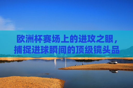 欧洲杯赛场上的进攻之眼，捕捉进球瞬间的顶级镜头品牌，欧洲杯进攻之眼，顶级镜头品牌捕捉进球瞬间