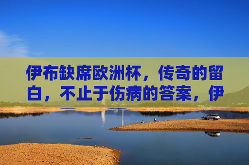 伊布缺席欧洲杯，传奇的留白，不止于伤病的答案，伊布欧洲杯缺席，传奇留白，答案不止于伤病