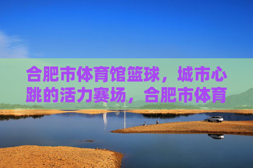 合肥市体育馆篮球，城市心跳的活力赛场，合肥市体育馆篮球，城市心跳的活力赛场